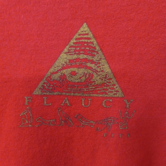 FLAUNCY Fit Sweat Shirt ALL SEEING EYE Red Gold Graphic Print Size XL/54 - Picture 5 of 9